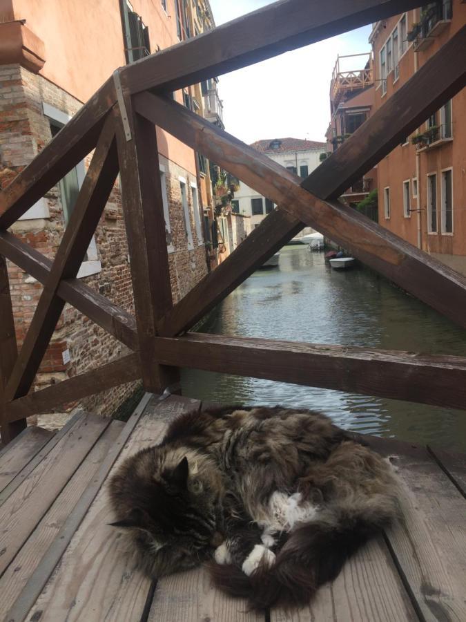 Апартаменти Mori 3, In Centro Storico Di Venezia Екстер'єр фото